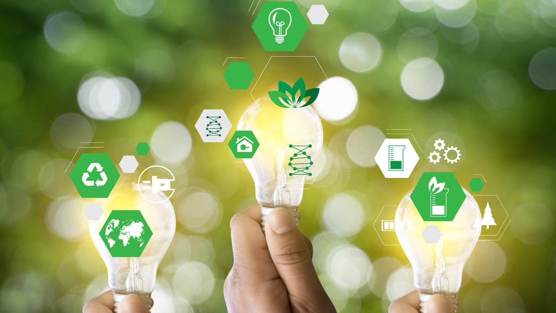 Cursos FBM - Reporte Sustentabilidade - Fevereiro